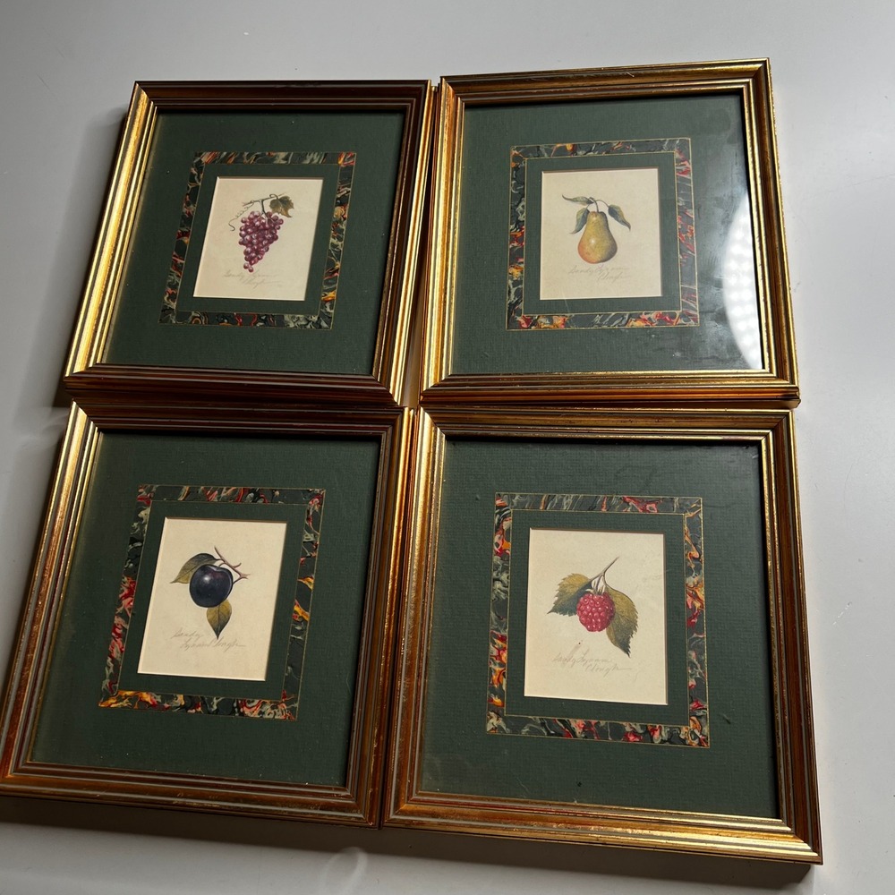 Sandy Lynam Clough Botanical Fruit Prints Set of 4 Gold Framed Green Mat 8x10